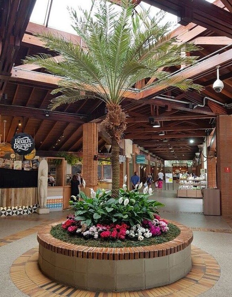 Home 9| Apartamento em Bertioga I Praia e Lazer